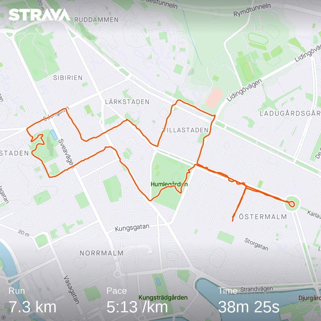 Strava map of my first run in Sweden