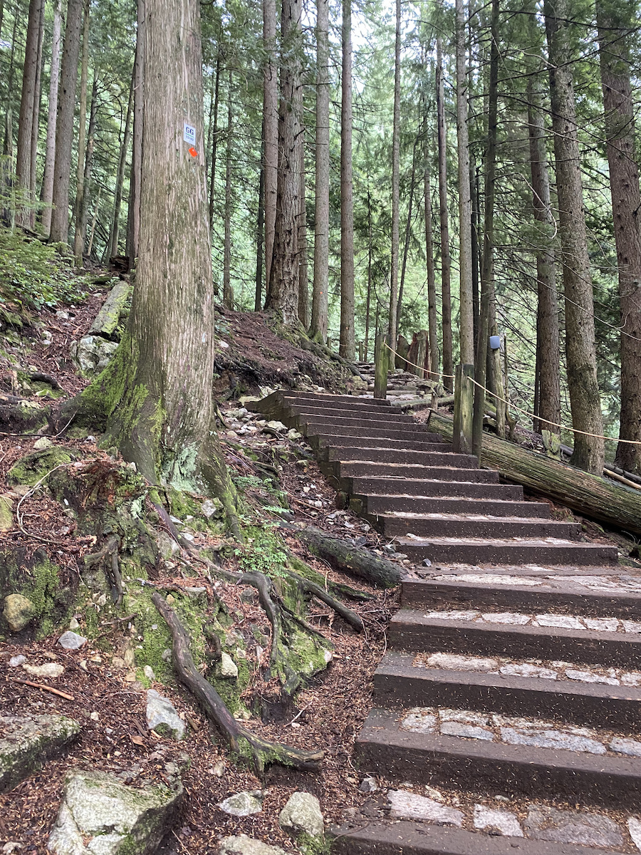 Some of the stairs of the Grouse Grind